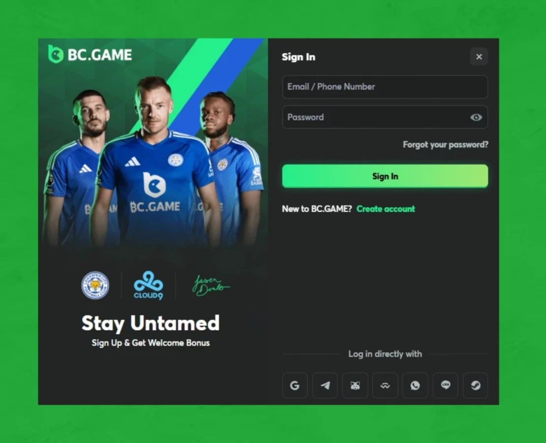 Login form BC Game